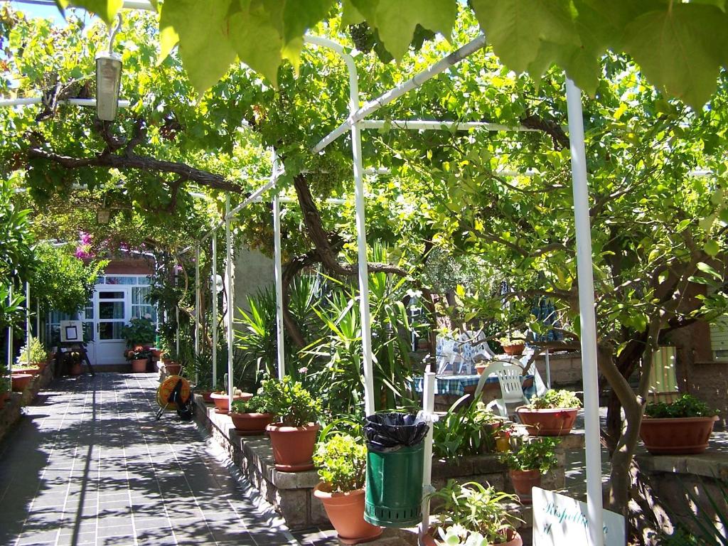 un giardino con piante in vaso e una serra di Abbamala Village a Bosa