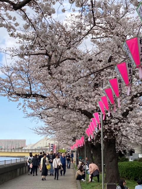 Fotografie z fotogalerie ubytování Sky Tree INN Ⅱ（晴樹宿Ⅱ） v Tokiu