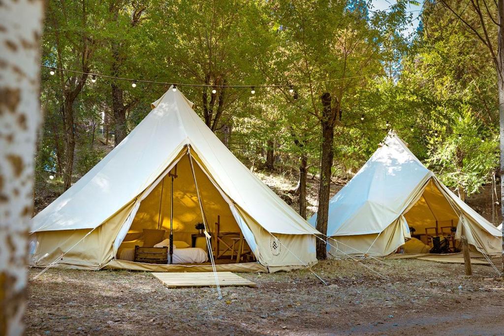 two white tents in a forest with trees at Kampaoh Cazorla in El Valle