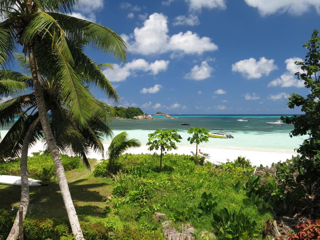 uma vista para uma praia com palmeiras em Rosemary's Guesthouse em Praslin