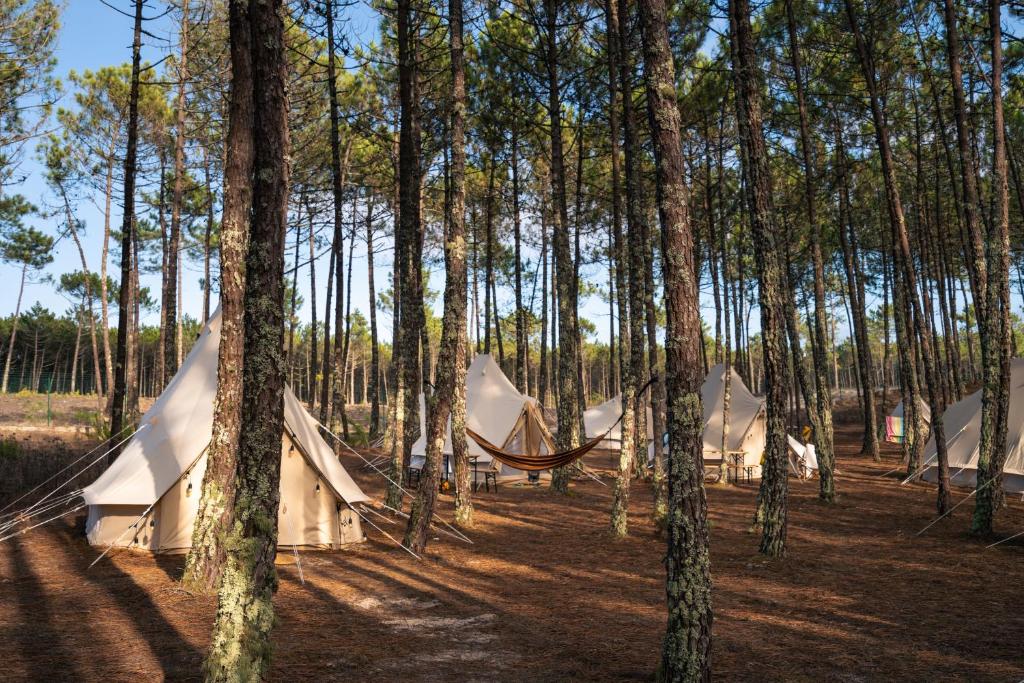a group of tents in a forest with trees at Kampaoh Vagueira in Palheiros da Vagueira