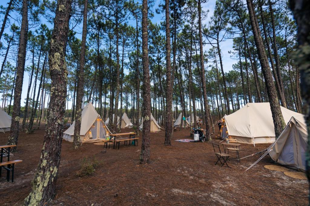 Příroda nedaleko luxury tent