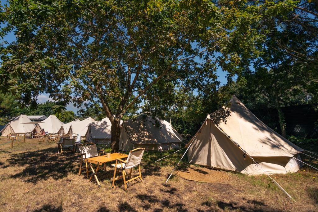 Fotografie z fotogalerie ubytování Kampaoh Âncora v destinaci Vila Praia de Âncora