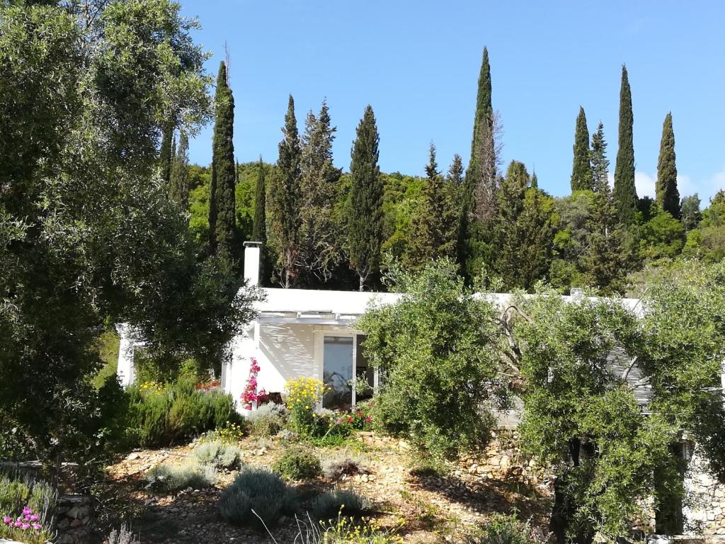 A garden outside Villa Buras