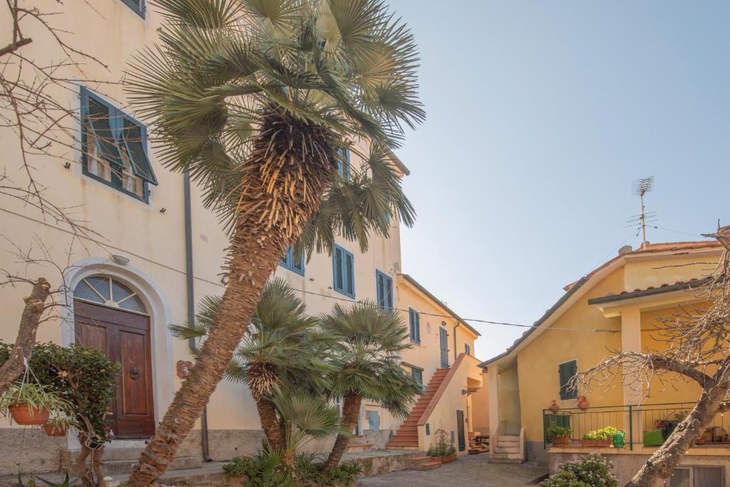 a palm tree in front of a building at Appartamento al Cotone - HelloElba in Marciana Marina
