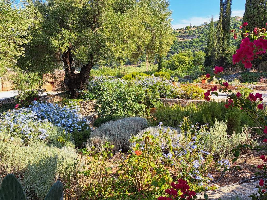 A garden outside Villa Buras