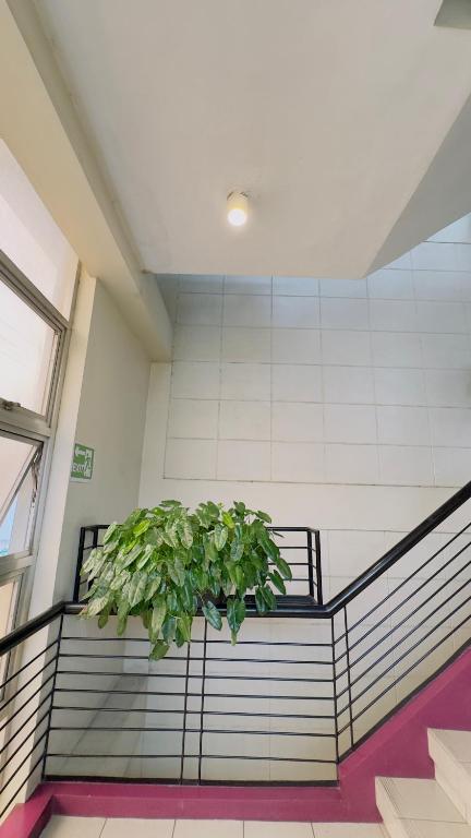 Fotografie z fotogalerie ubytování La Anclar Hotel v destinaci Davao