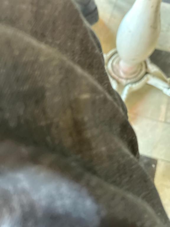 Lüks Site İçerisinde Harika Ev