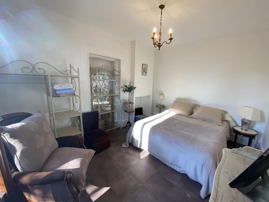 1 dormitorio con 1 cama, 1 silla y 1 lámpara de araña en Le NEW Montferrand 1 et 2, en Clermont-Ferrand