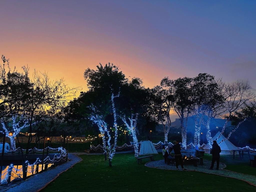 a group of people standing in a park with christmas lights at Homestay Cánh Đồng - Lều Camping & Coffee in Mộc Châu