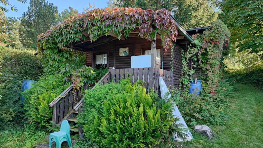Zahrada ubytování Café Pension Sonnenkanzel