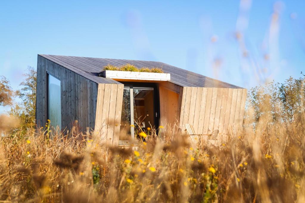 una pequeña casa con un techo negro en un campo en Tiny house De Wylp en Westergeest