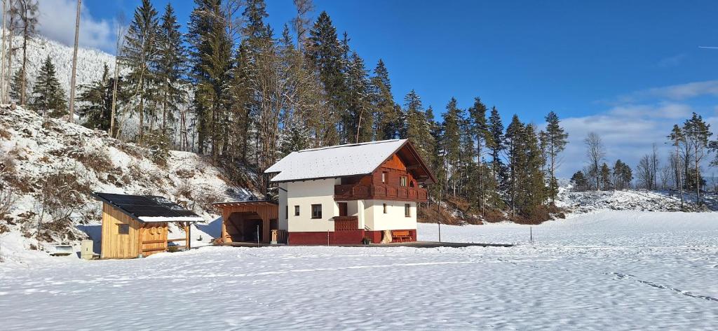 a house in a snow covered field with trees at Chalet Lärchforst in Aich