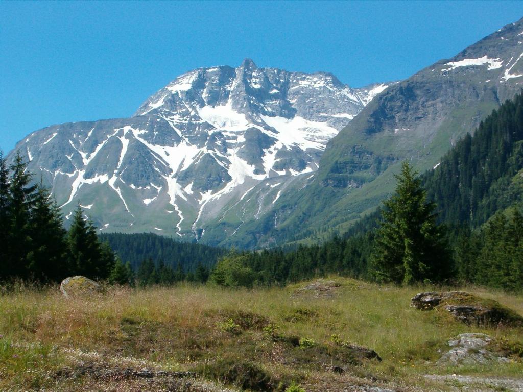 Příroda nedaleko penzionu