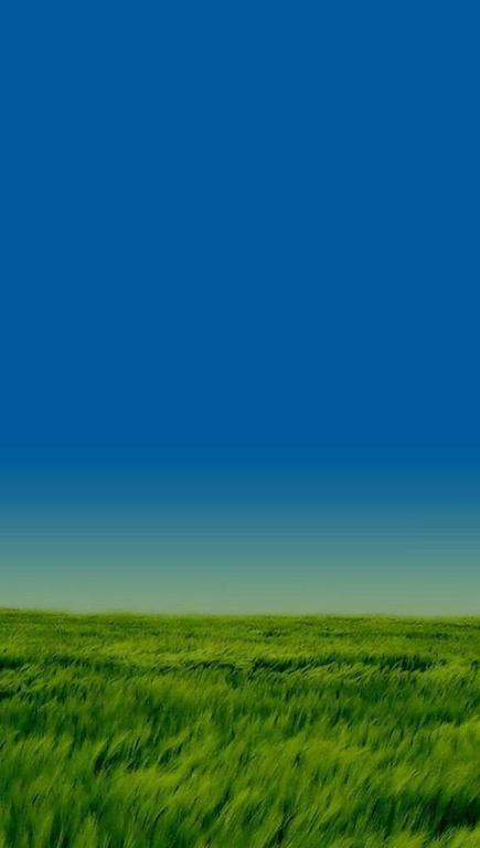 a field of green grass with a blue sky in the background at The Host in Alexandria