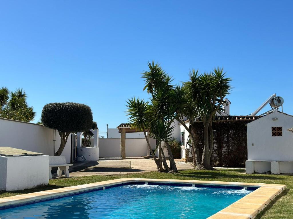 - une piscine en face d'une maison avec des palmiers dans l'établissement Vivienda Rural Atlántico Sur & Family, à Conil de la Frontera