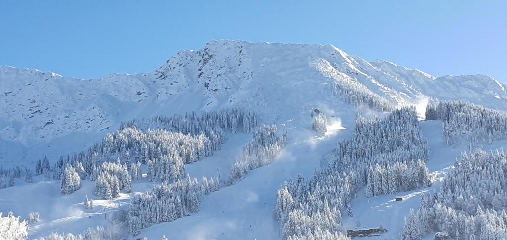 Hotel Alpengasthof Löwen v zimě