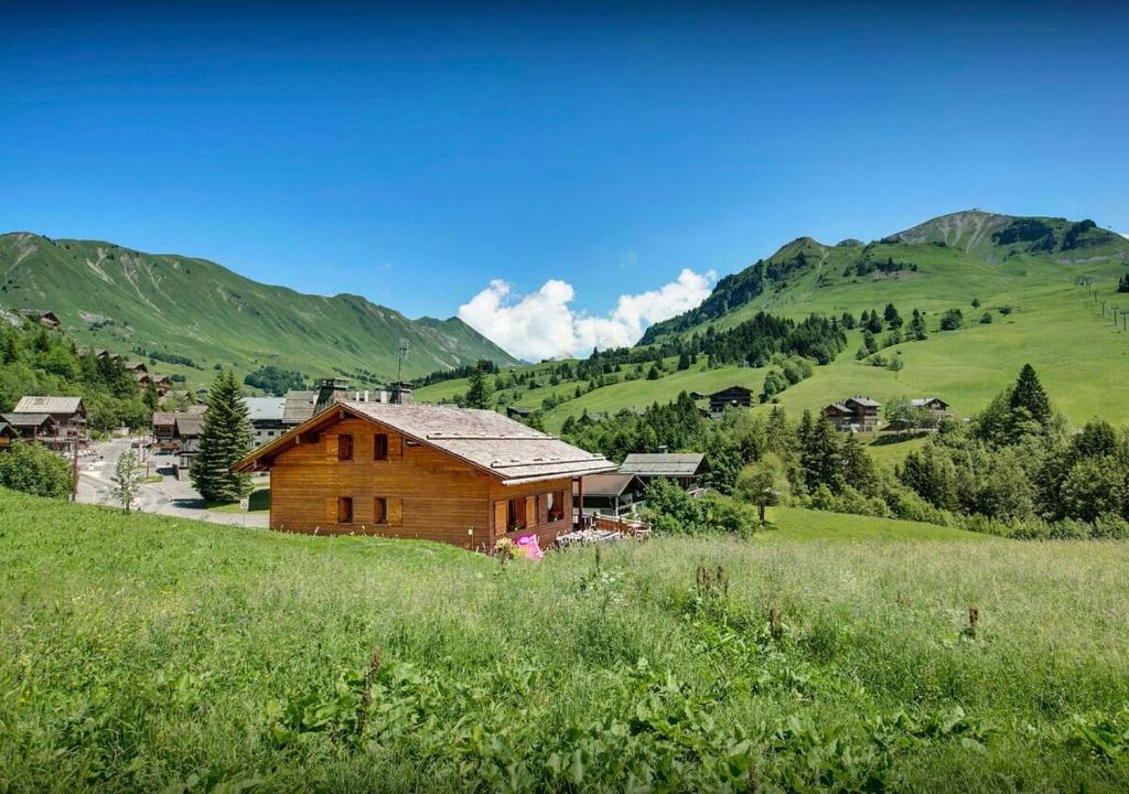 a wooden house on a hill in a field at Chalet Sicoria - Les Congères in Le Grand-Bornand