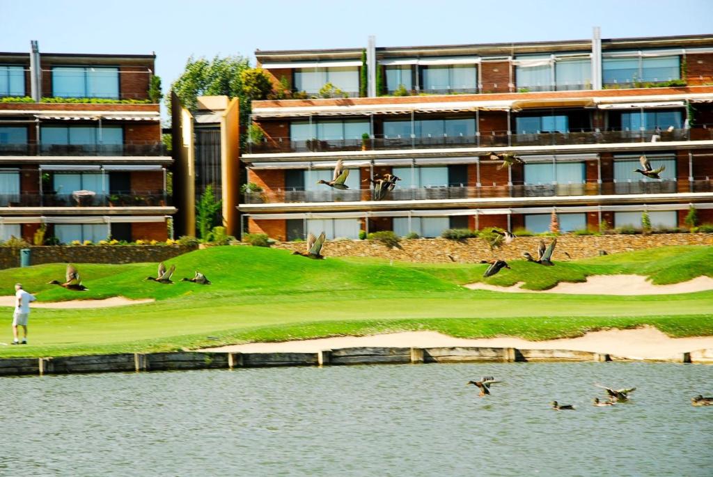 a group of birds on a golf course next to the water at Emporda Golf 28 2-1 in Gualta