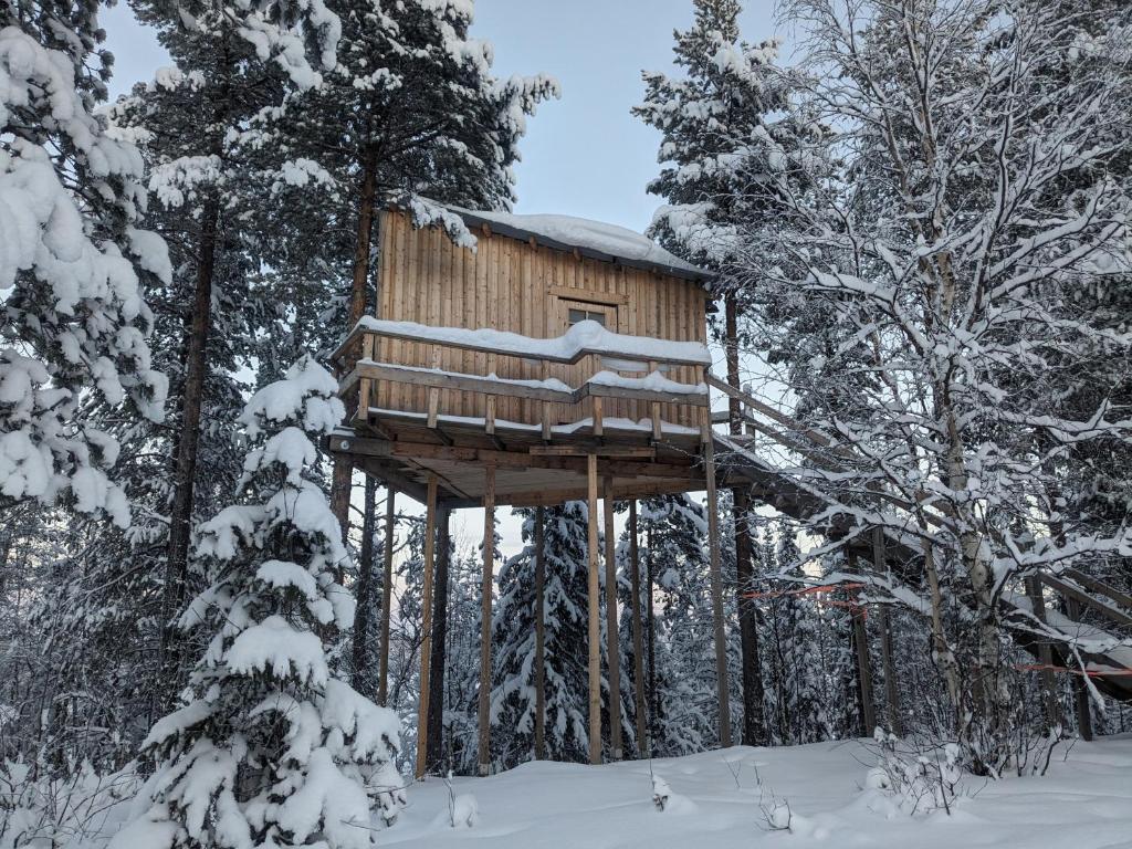 Aurora Lodge v zimě