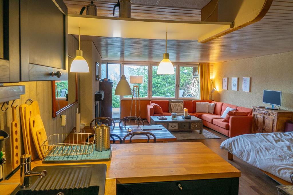 Posezení v ubytování Cosy studio on the ski slopes