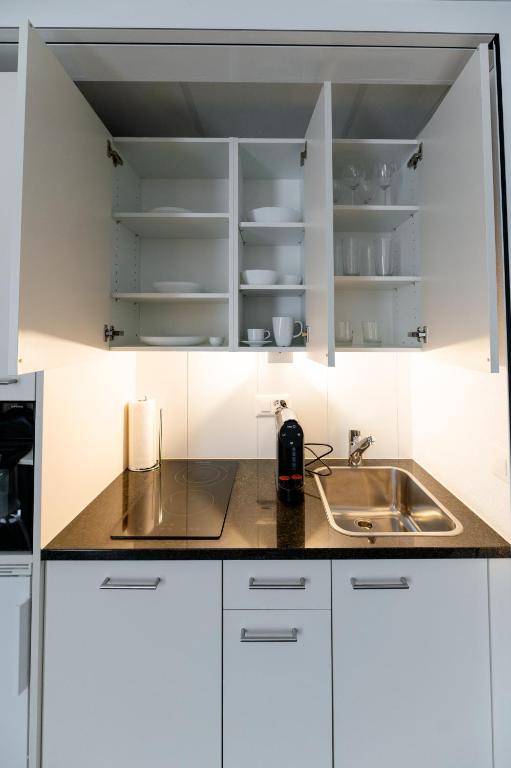 Kuchyň nebo kuchyňský kout v ubytování Los Lorentes Apartments Bern Airport
