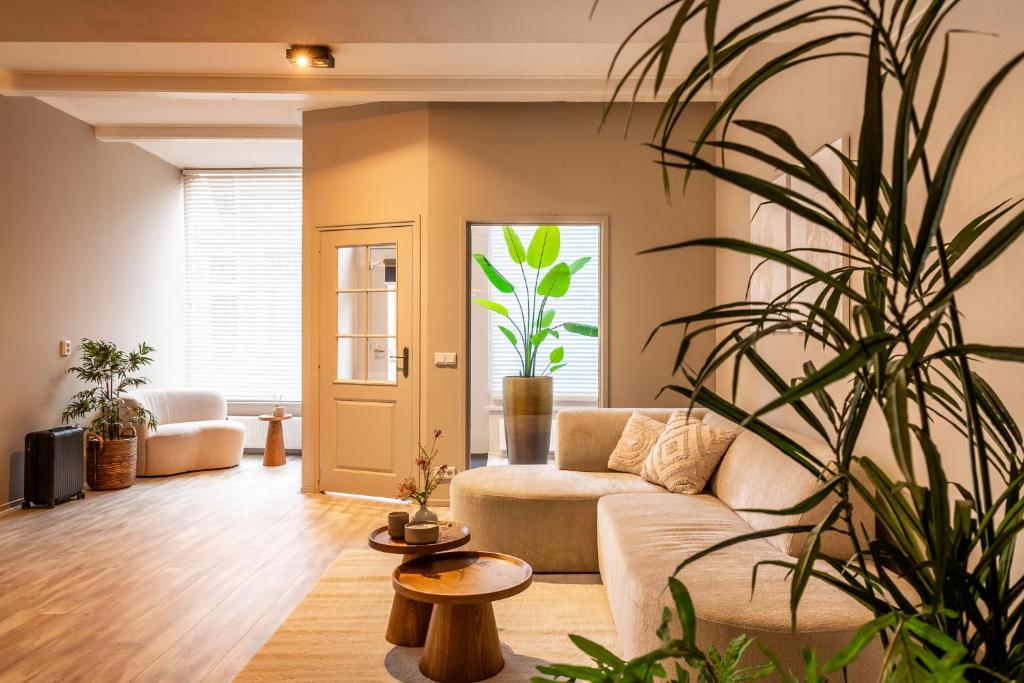 ein Wohnzimmer mit einem Sofa und einer Pflanze in der Unterkunft Stadsappartement Franeker 9 in Franeker