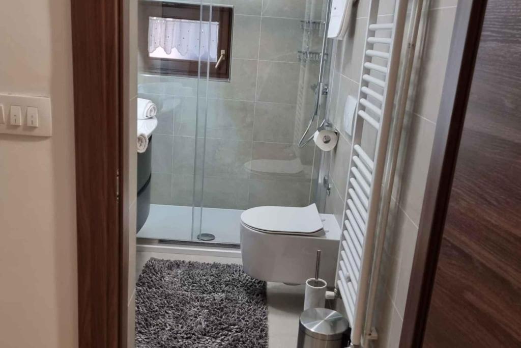 a bathroom with a toilet and a glass shower at Holiday home in Lokve, Croatia 47707 in Lokve