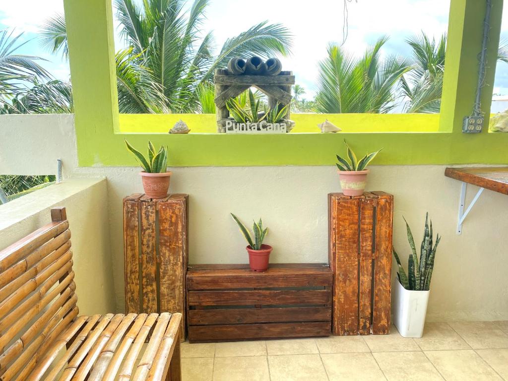 Zahrada ubytování Private Rooms-Art Punta Cana