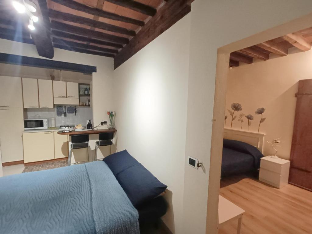 Il giardino segreto - 13