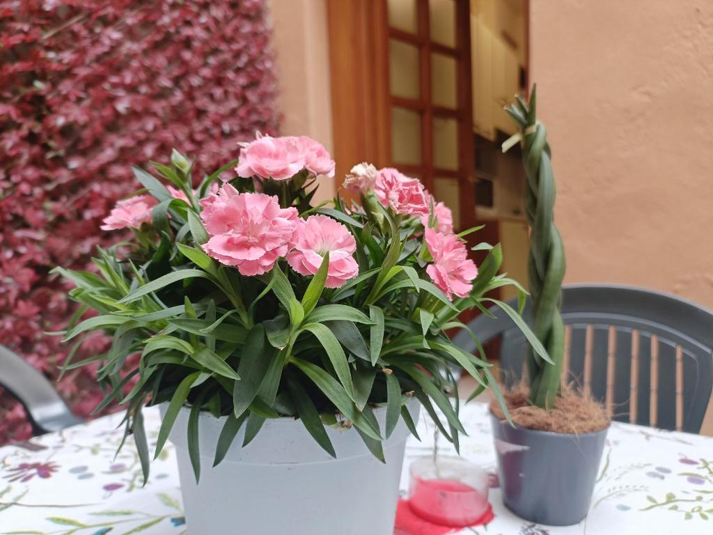 Il giardino segreto - 9