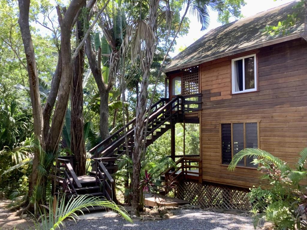 une cabine dans les bois avec un escalier menant à celle-ci dans l'établissement Patti's Paradise, à Sandy Bay