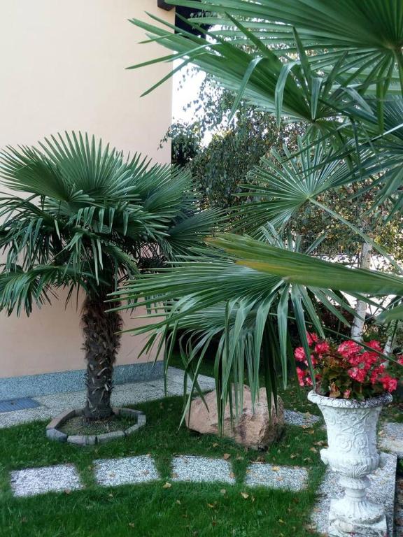 Zahrada ubytování Charming Apartment in Lavena Ponte Tresa - 70m² - Spacious Terrace