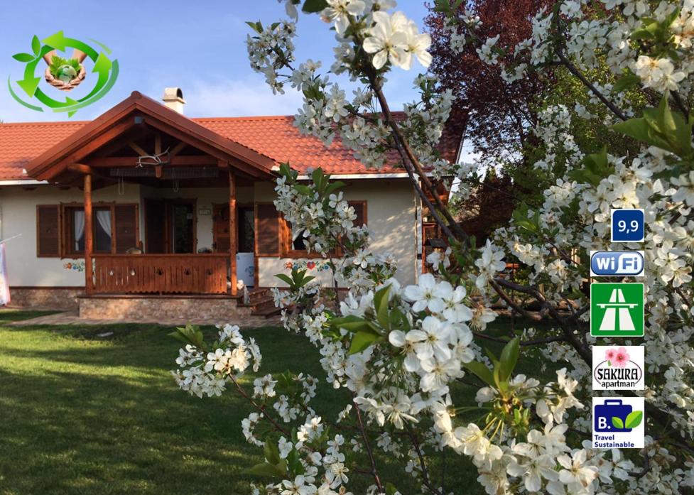 uma casa com flores brancas em frente em SAKURA apartmán Zsory em Mezőkövesd