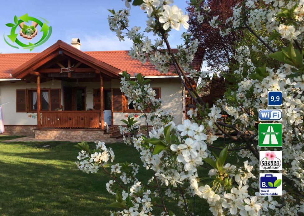 SAKURA apartmán Zsory 3400 Mezőkövesd, Kisfa utca 18. kép - 1