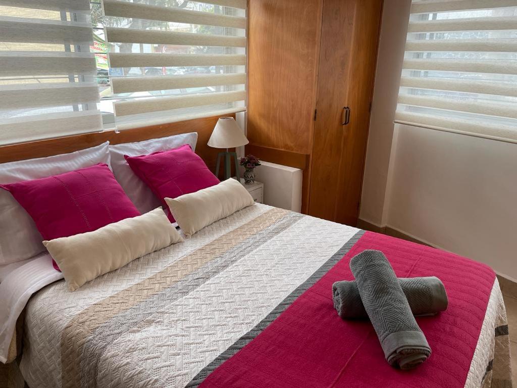 1 dormitorio con 1 cama grande con almohadas rosas en Lofts San Ángel, en Ciudad de México