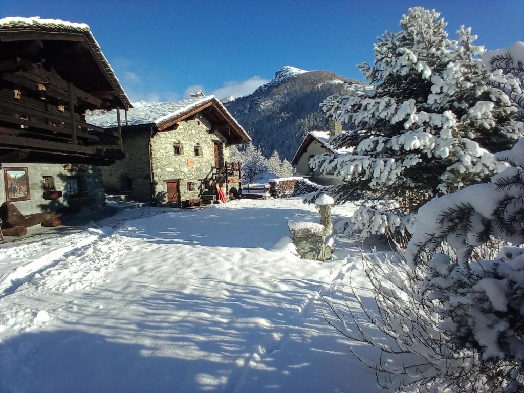 un cortile coperto da neve con una casa e un albero di Chalet quota 1800 a Saint Jacques