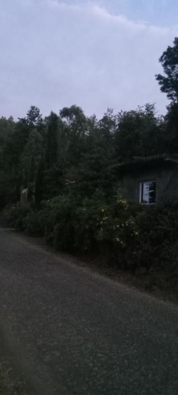 a house on the side of a road with trees at Quinta de Monte luso in São Filipe