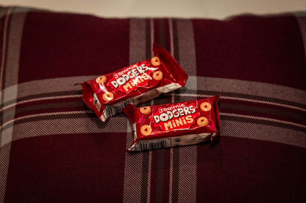 Tynecastle Park Hotel - Resim 13