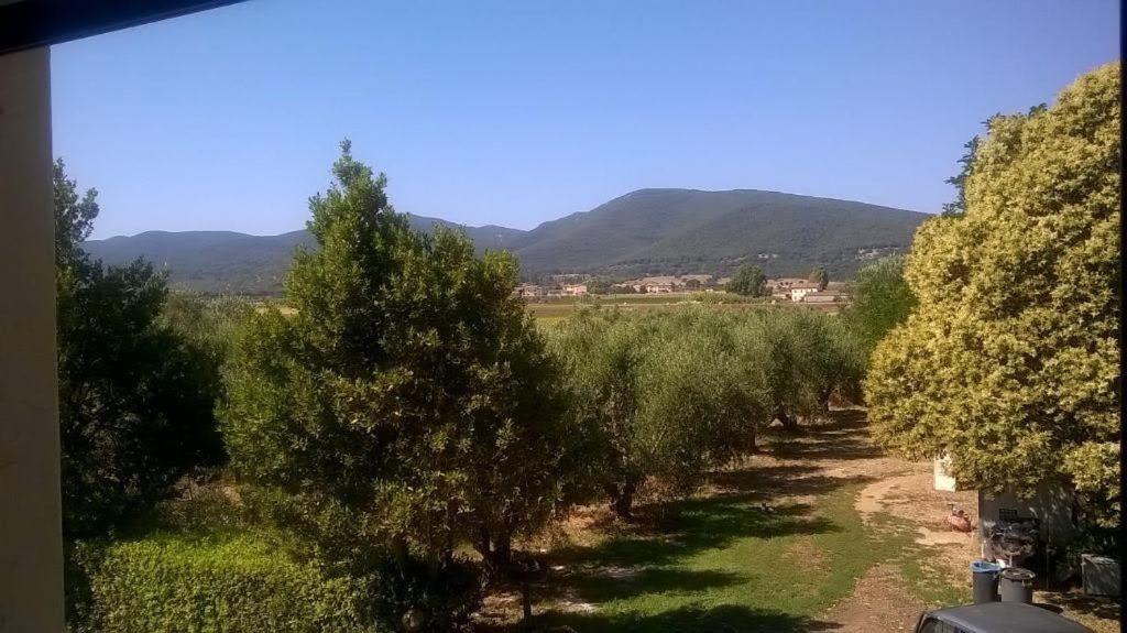 Príroda v okolí farmy