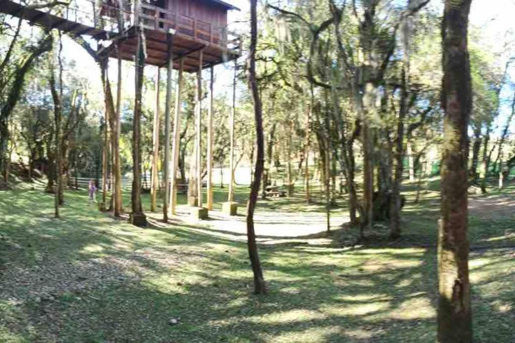 domek na drzewie w środku lasu w obiekcie Chácara.lazer.cxs w mieście Caxias do Sul