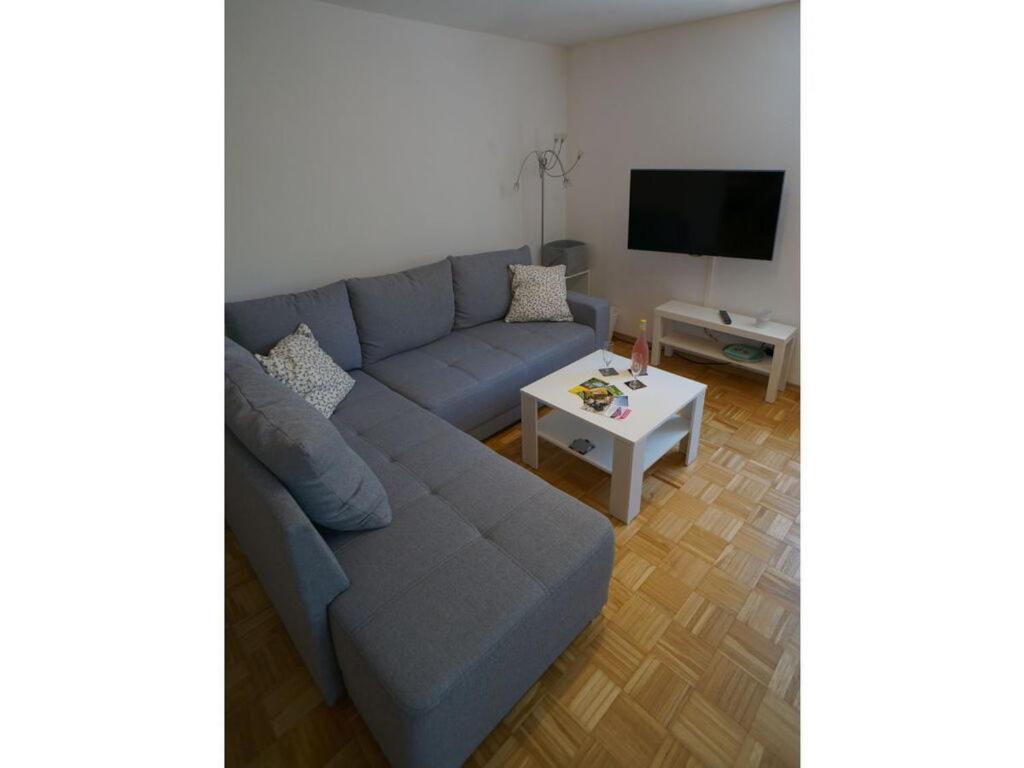 een woonkamer met een blauwe bank en een tafel bij Holiday apartment Flurgarten in Langenargen