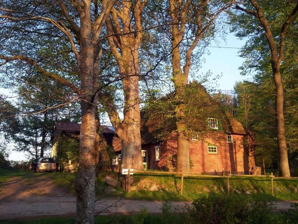 an old brick house with trees in front of it at Romantic thatched roof house in Schnarup-Thumby
