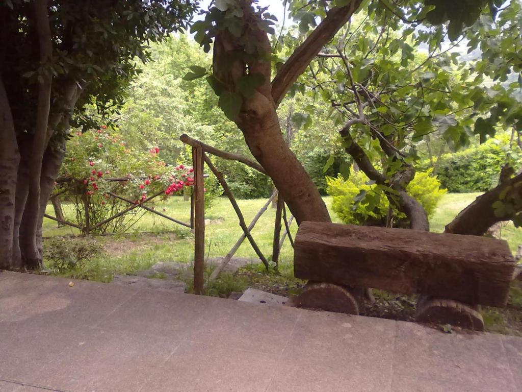 A garden outside Monpoupon