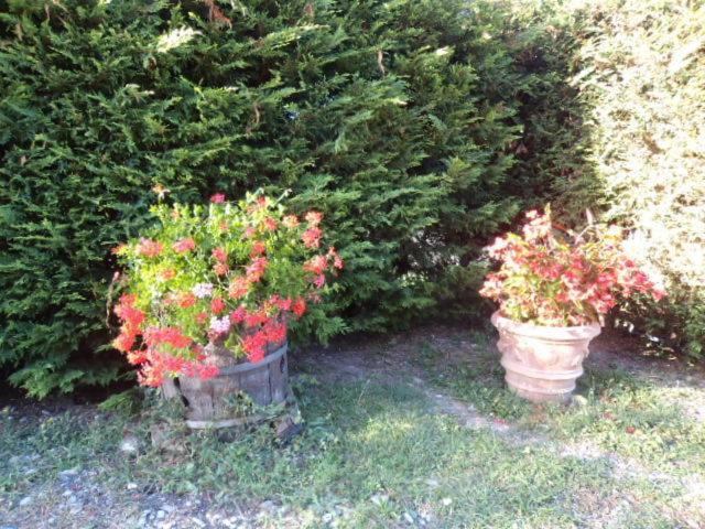 A garden outside Monpoupon
