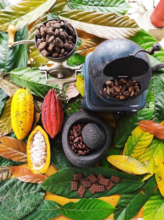 Cibo presso l'ostello o nelle vicinanze