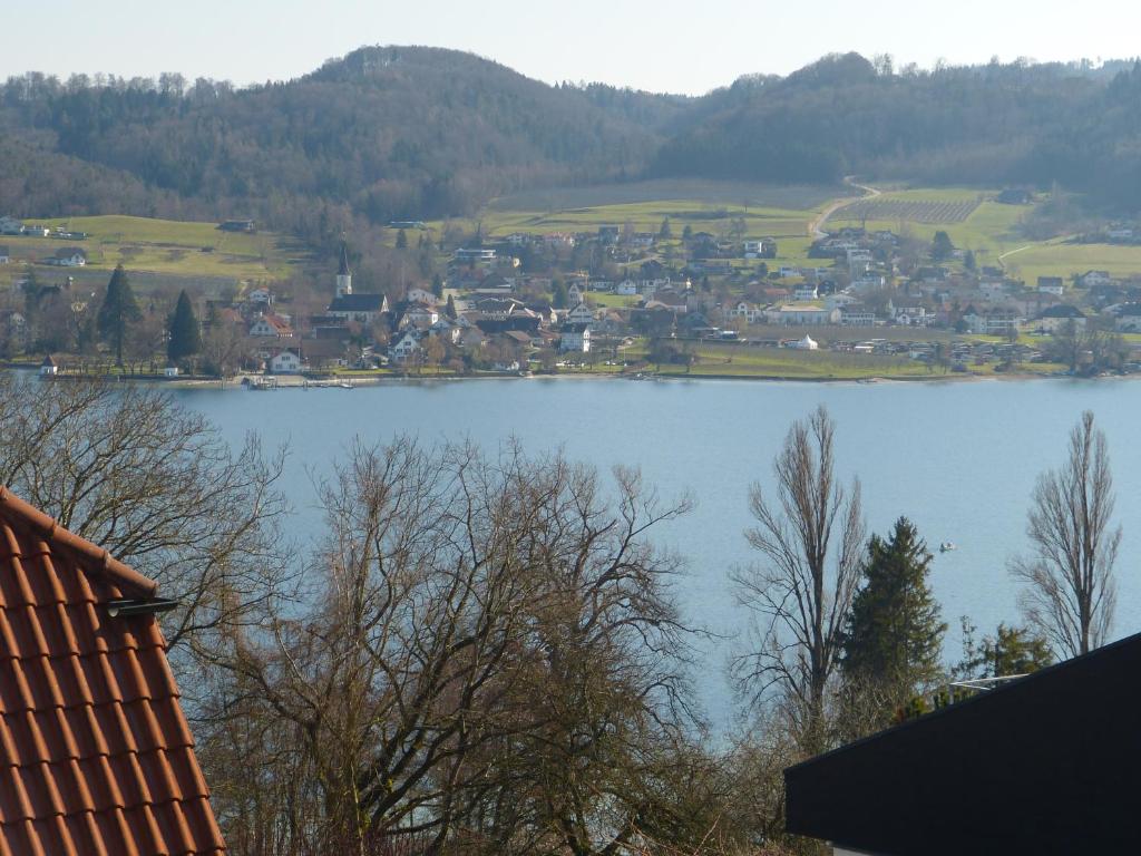 Vue sur un lac avec une ville en arrière-plan dans l'établissement Sonnenblume, à Öhningen