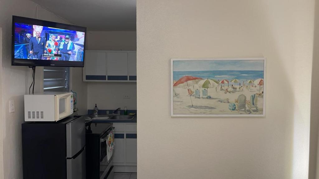 TV a/nebo společenská místnost v ubytování Playa Apartments