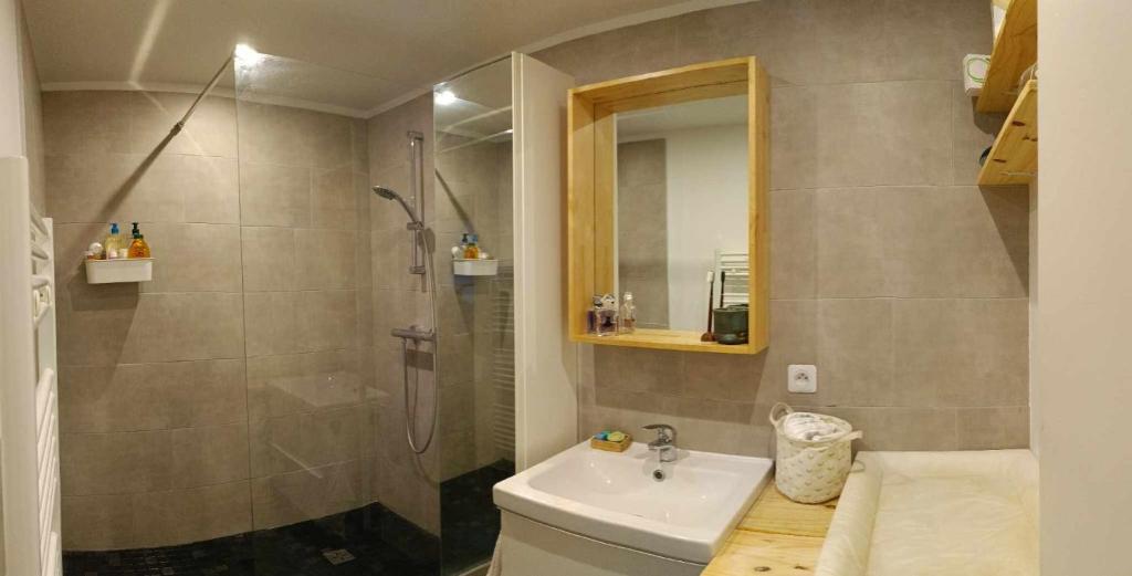 ein Bad mit einer Dusche und einem Waschbecken in der Unterkunft Appartement familial in Vélizy-Villacoublay
