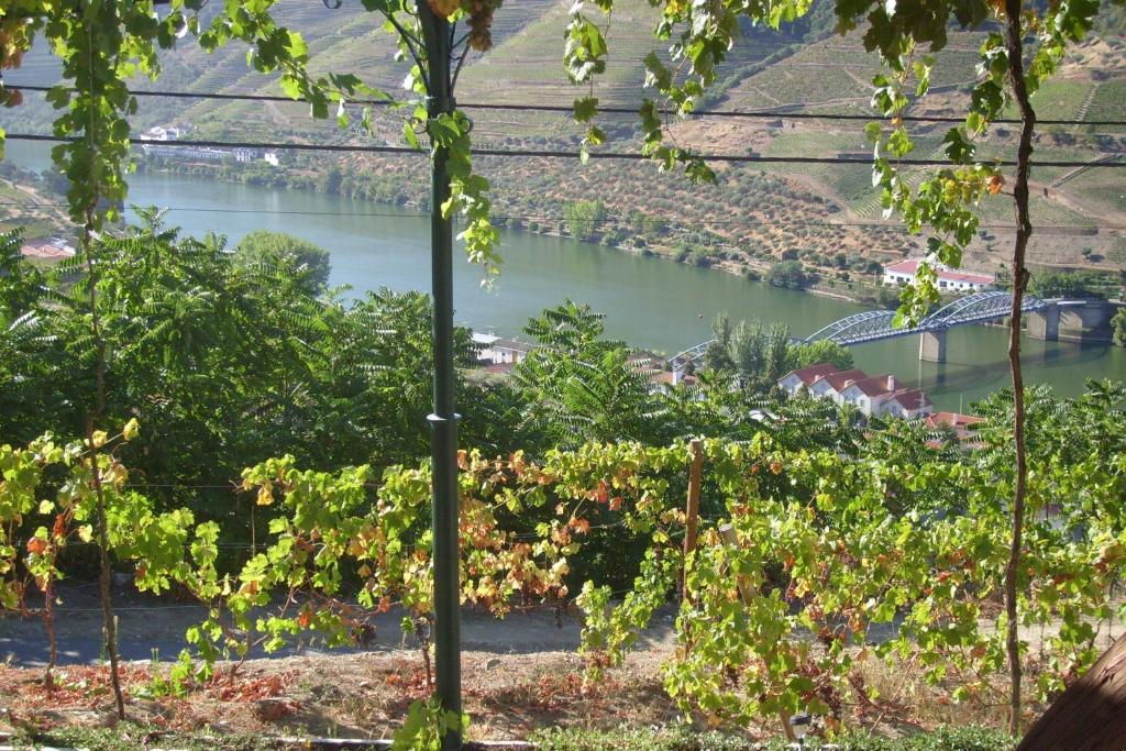 Quinta da Galeira - 19